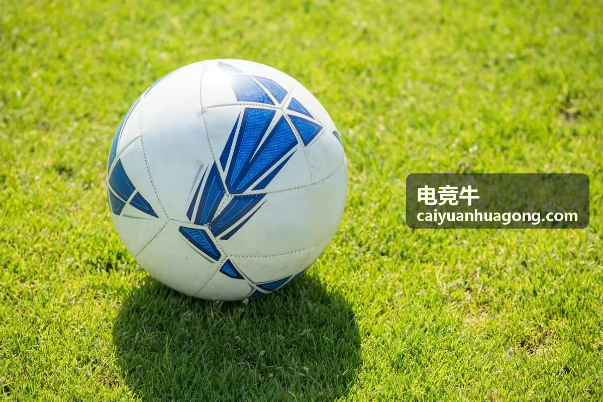 电竞牛海外战队